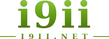 i9ii logo